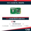 SSD 256GB M.2 MSATA 6GB/S CATEGORÍA DATACENTER