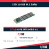 SSD 256GB M.2 2280 SATA 6GB/S PCI-E 3.0 X4 CATEGORÍA DATACENTER