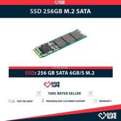 SSD 256GB M.2 2280 SATA 6GB/S PCI-E 3.0 X4 CATEGORÍA DATACENTER