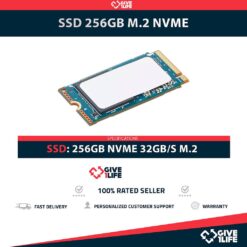 SSD 256GB M.2 2242 NVME 32GB/S CATEGORÍA DATACENTER