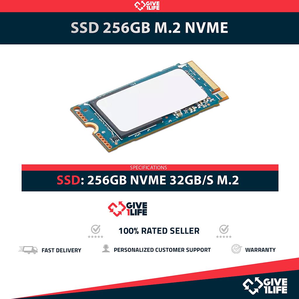 SSD 256GB M.2 2242 NVME 32GB/S CATEGORÍA DATACENTER
