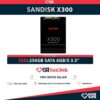 SANDISK X300 SSD 256GB 2.5″ SATA 6GB/S